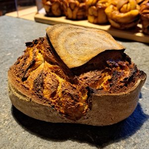 Gastbrood april/mei/juni: khorasan